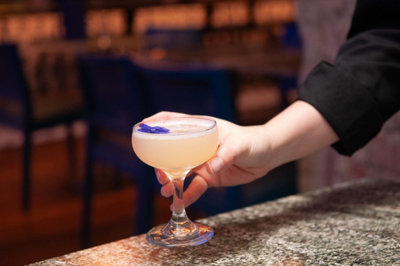 Cocktail served at the bar